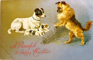 Cachorros en la paja, postal victoriana